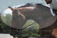 ref. photo 3288491