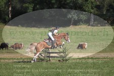 ref. photo 3288499