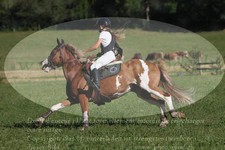 ref. photo 3288501