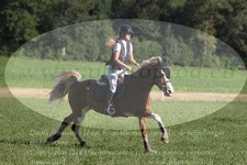 ref. photo 3288504