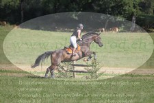 ref. photo 3288528