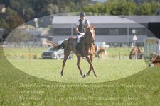 ref. photo 3288559