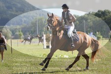 ref. photo 3288561
