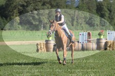ref. photo 3288567