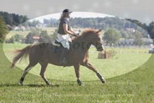 ref. photo 3288640