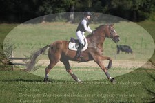 ref. photo 3288644