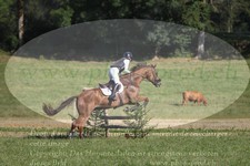 ref. photo 3288649