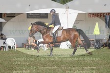 ref. photo 3288690