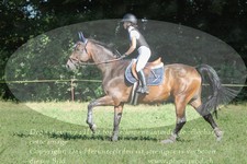 ref. photo 3288723