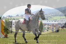 ref. photo 3288780