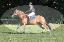 ref. photo 3288805