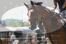 ref. photo 3288851