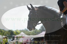 ref. photo 3288856