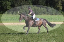 ref. photo 3288979
