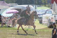 ref. photo 3288991