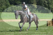 ref. photo 3289052