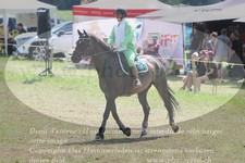 ref. photo 3289059