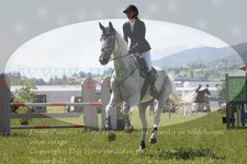 ref. photo 3289084