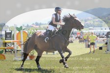 ref. photo 3289100
