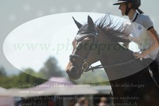 ref. photo 3289119