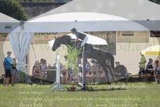 ref. photo 3289130
