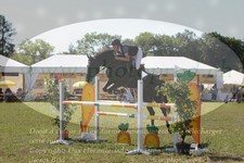 ref. photo 3289131