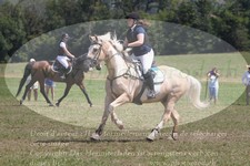 ref. photo 3289146