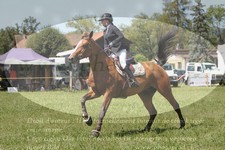 ref. photo 3289179