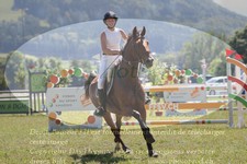 ref. photo 3289196
