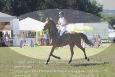 ref. photo 3289198