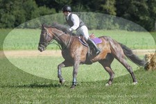 ref. photo 3289261