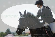 ref. photo 3289292