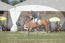 ref. photo 3289301