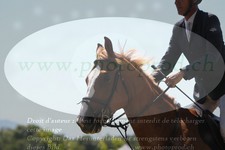 ref. photo 3289331