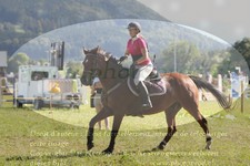 ref. photo 3289336