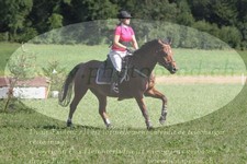 ref. photo 3289346