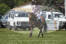 ref. photo 3289431