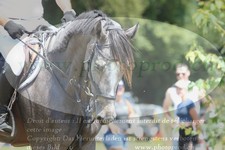 ref. photo 3289445