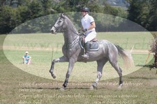 ref. photo 3289451