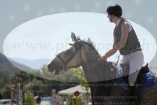 ref. photo 3289484