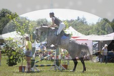 ref. photo 3289486