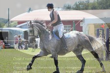ref. photo 3289497