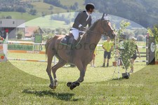 ref. photo 3289500