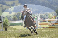 ref. photo 3289517
