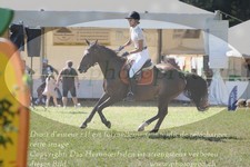 ref. photo 3289526