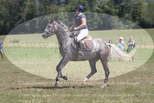 ref. photo 3289559