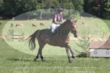 ref. photo 3289608