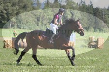 ref. photo 3289609