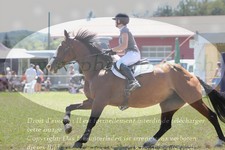 ref. photo 3289633