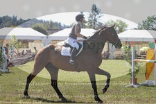 ref. photo 3289644